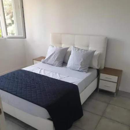 Grand Appartement, 2 Ou 3 Ou 4 Pieces, Tramway Sur Place, Proche Gare Sncf St Augustin 5 Min, Aeroport A 7 Min, Ou Allianz Riviera 10 Min, Palais Nikaia 2 Min , Supermarche Sur Place, Parking Possible Si Disponible Ou Payant A 1000 Metre Apartment *